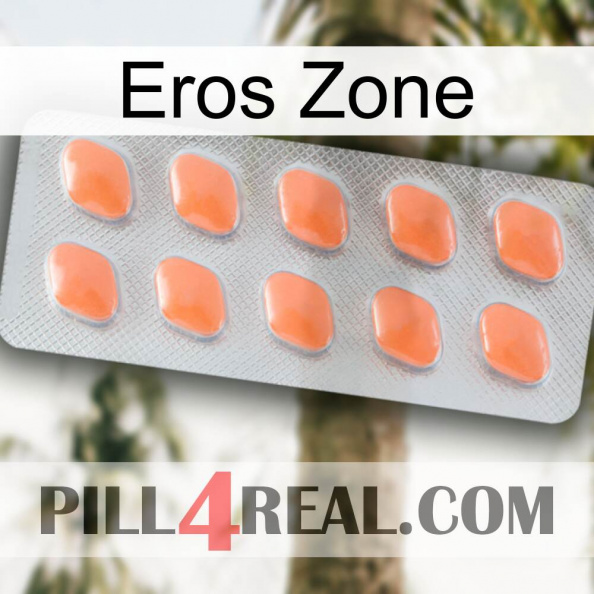 Eros Zone 26.jpg